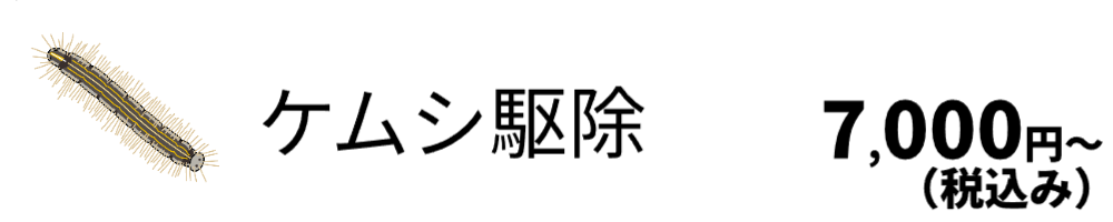 ケムシ駆除対象の画像