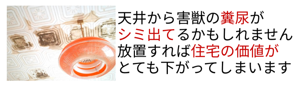 天井から害獣の糞尿がしみでてきているかもしれません