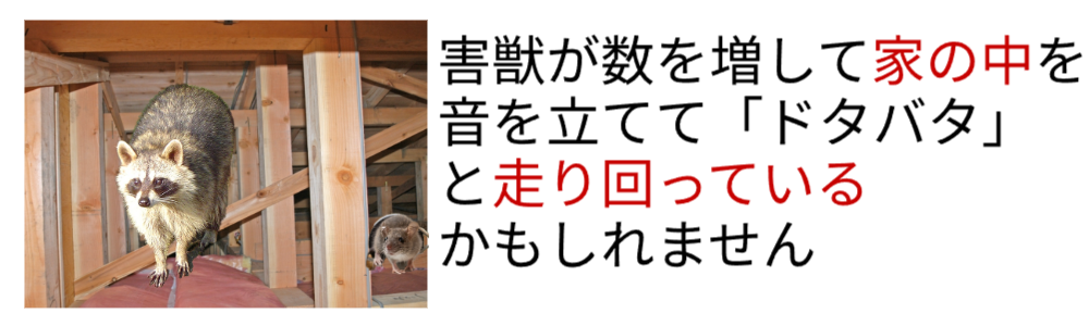 害獣たちが家の中をドタドタと走り回っているかもしれません