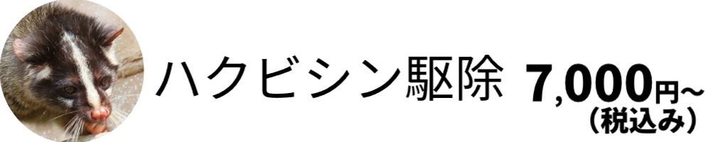 ハクビシン