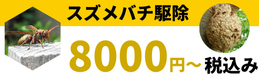 ハチの巣駆除