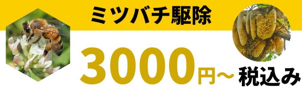 ハチの巣駆除