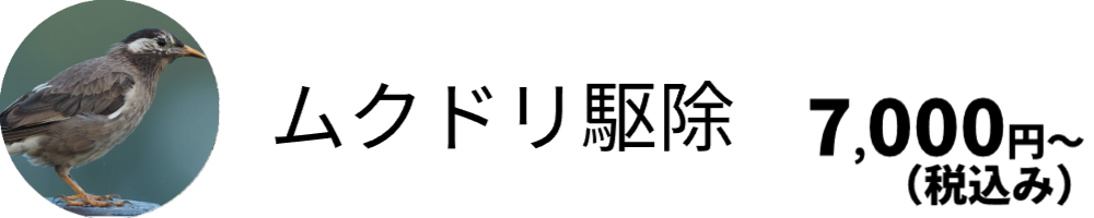ムクドリ駆除