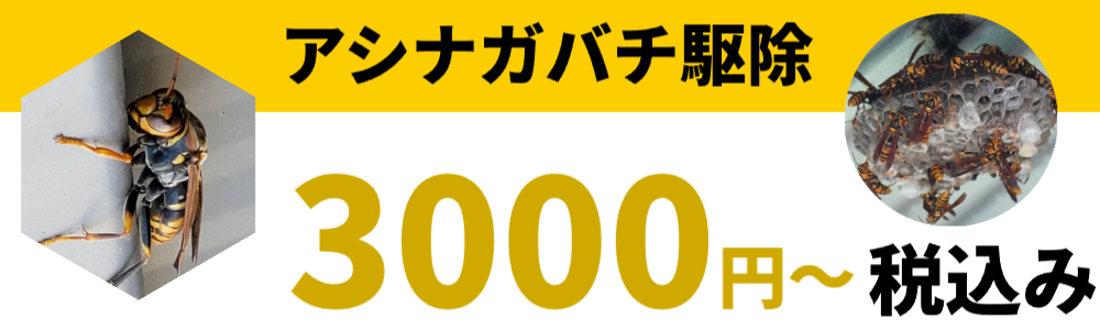 ハチの巣駆除