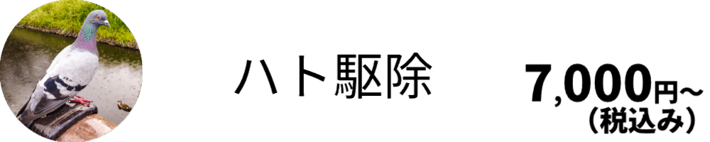 鳩駆除・対策