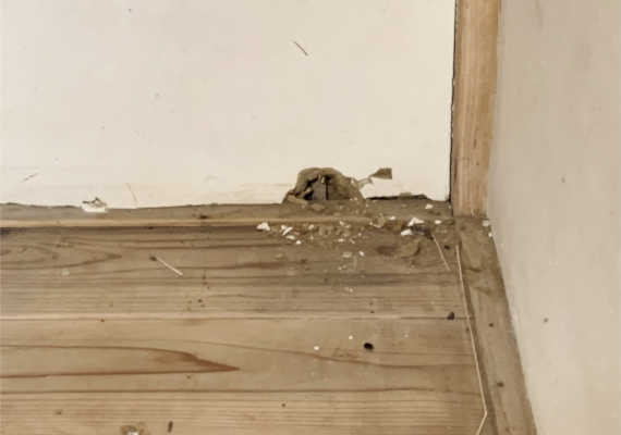住居への被害