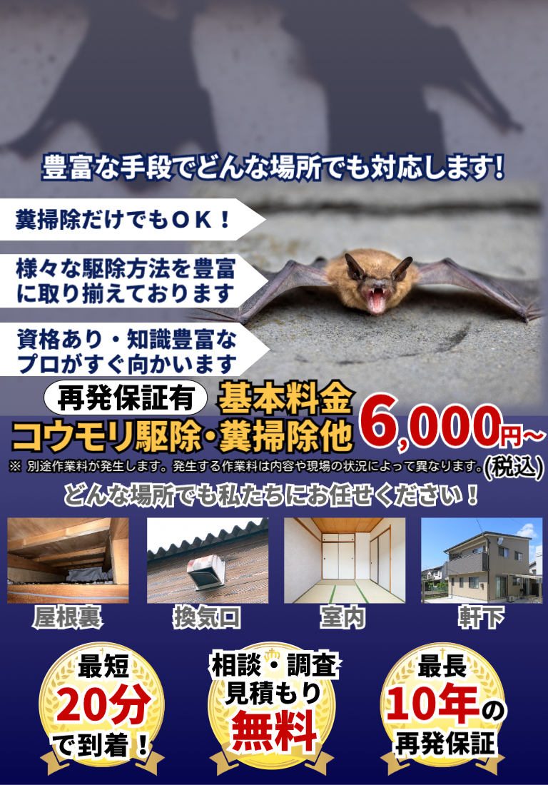 会社のイメージ画像