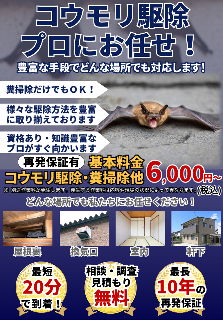 会社のイメージ画像