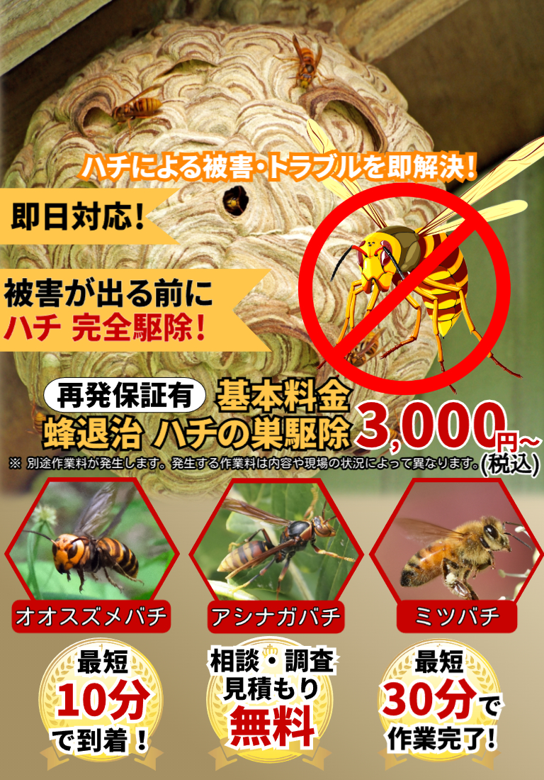 会社のイメージ画像