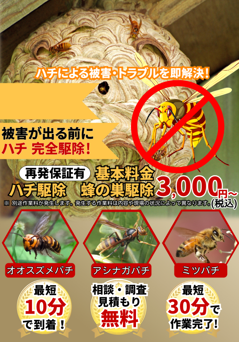 会社のイメージ画像