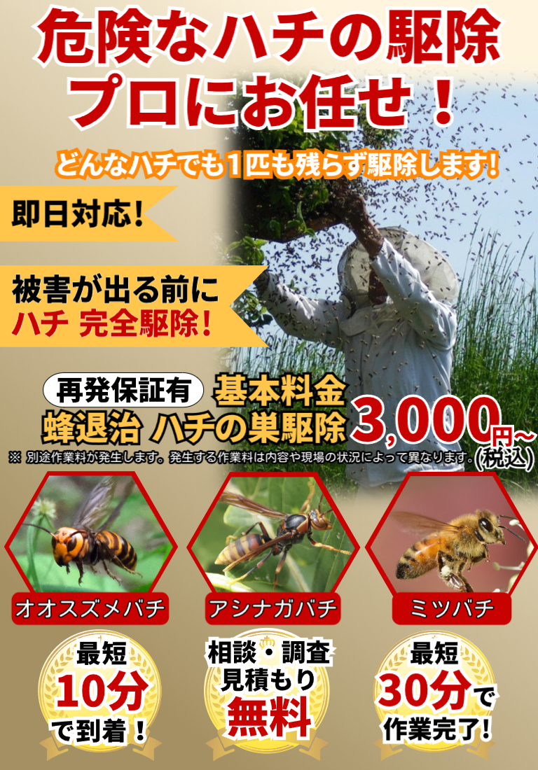 会社のイメージ画像