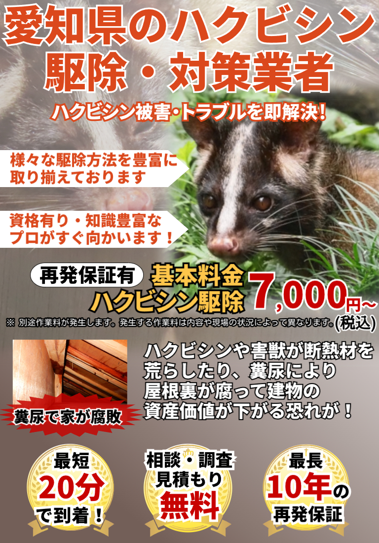 会社のイメージ画像