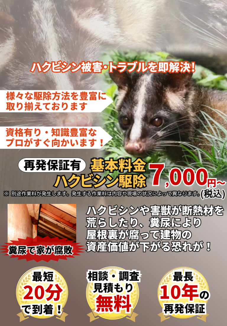 会社のイメージ画像