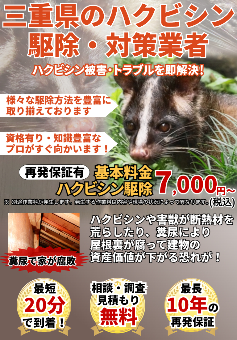 会社のイメージ画像