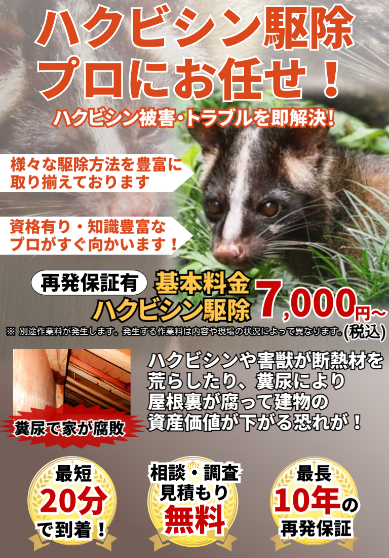 会社のイメージ画像