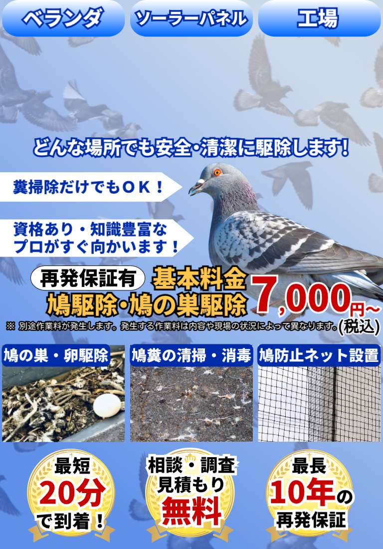 会社のイメージ画像