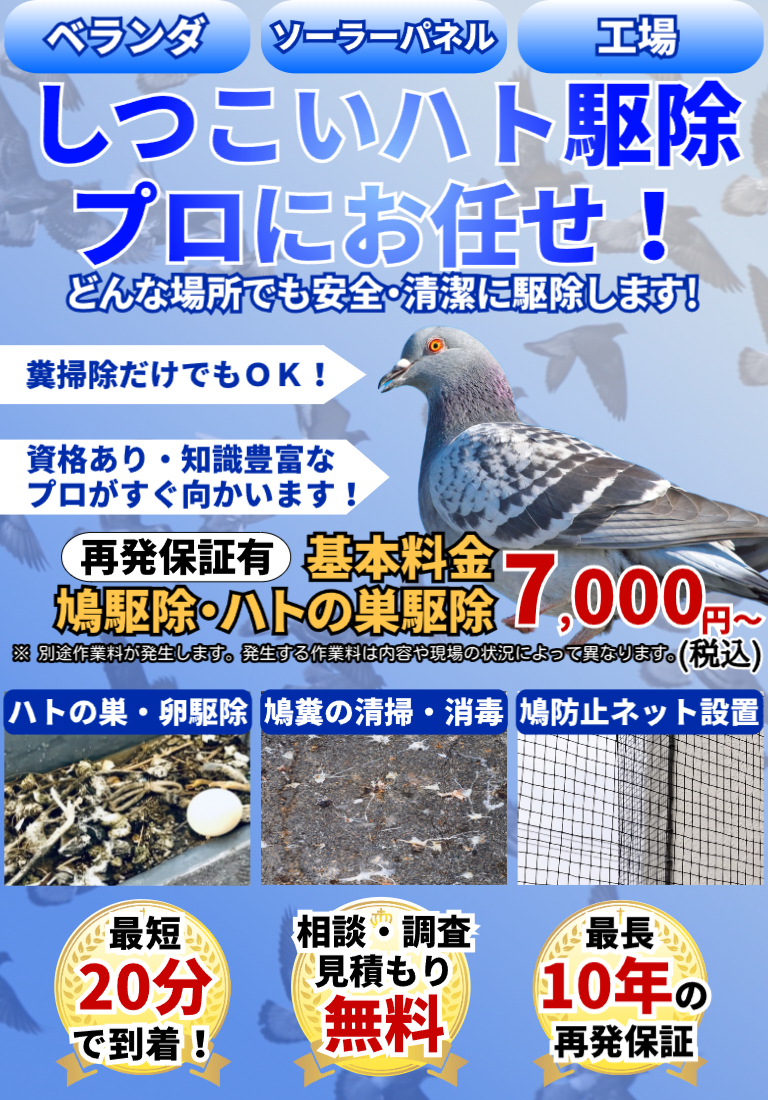 会社のイメージ画像