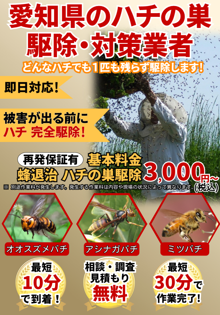 会社のイメージ画像