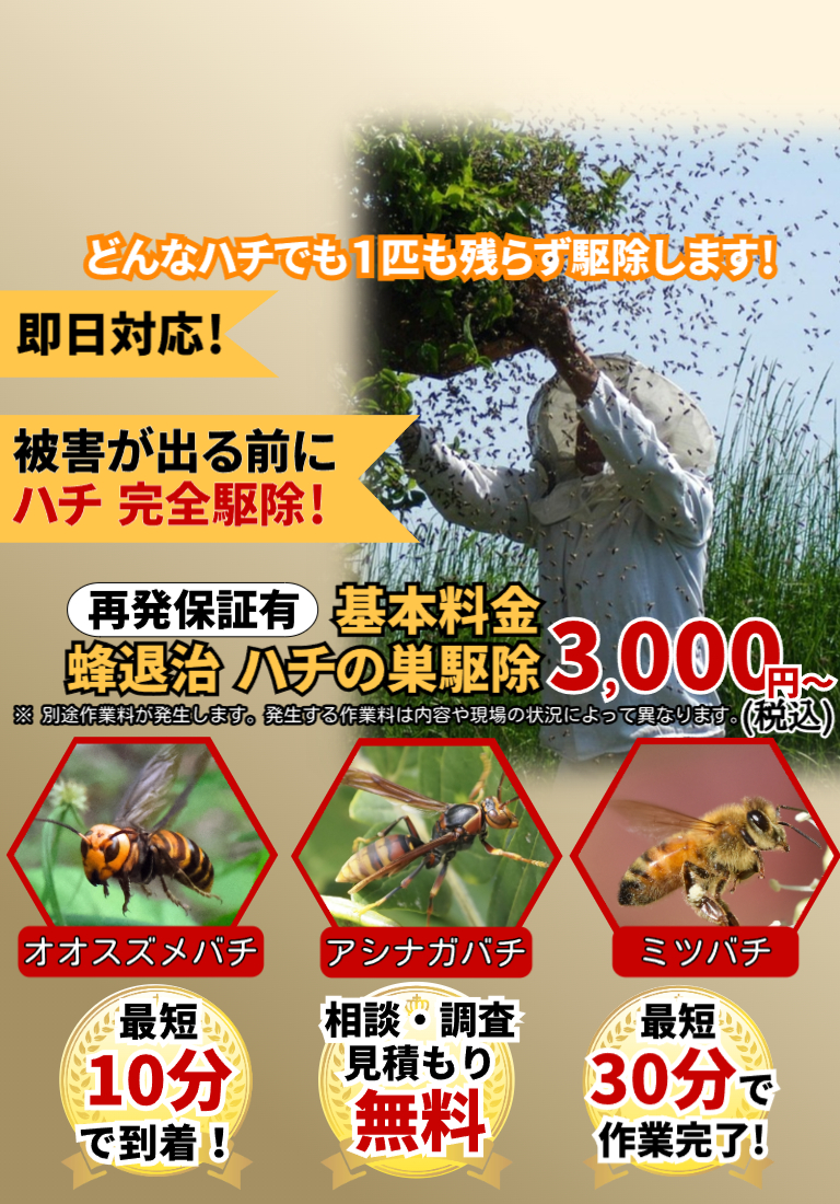 会社のイメージ画像