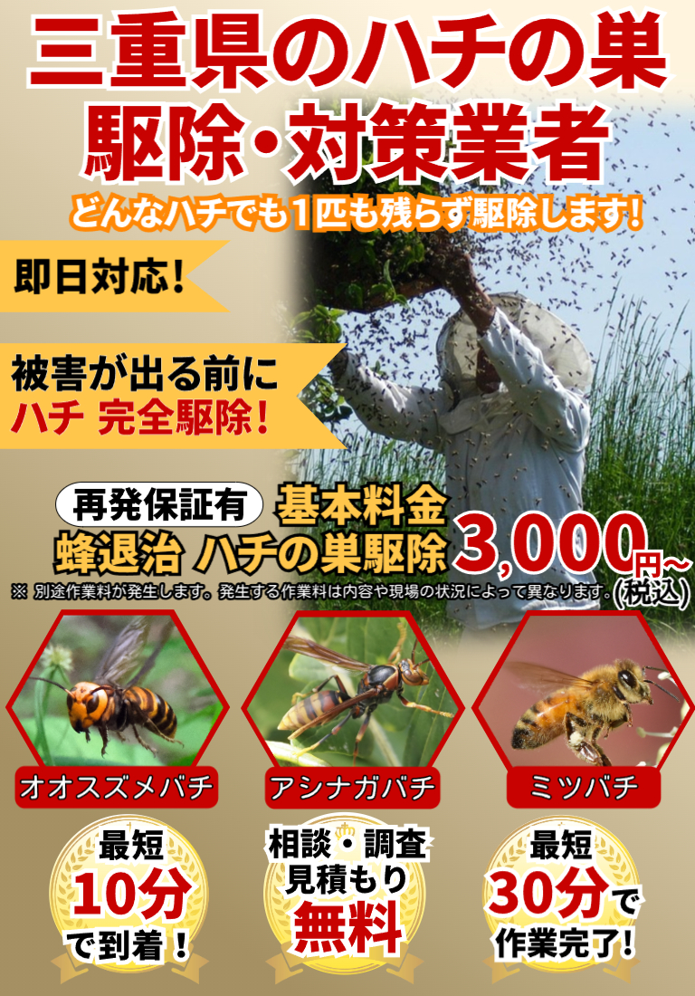 会社のイメージ画像