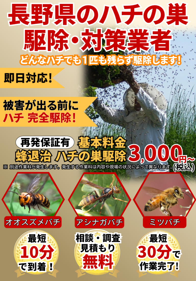 会社のイメージ画像