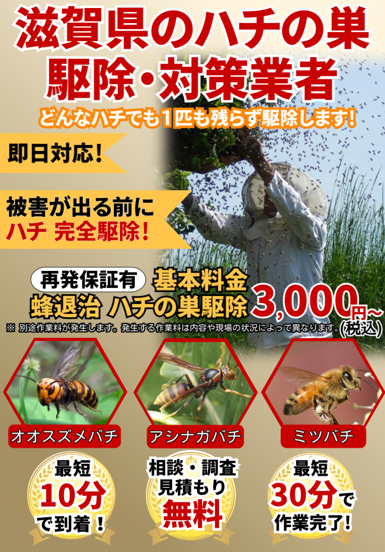会社のイメージ画像