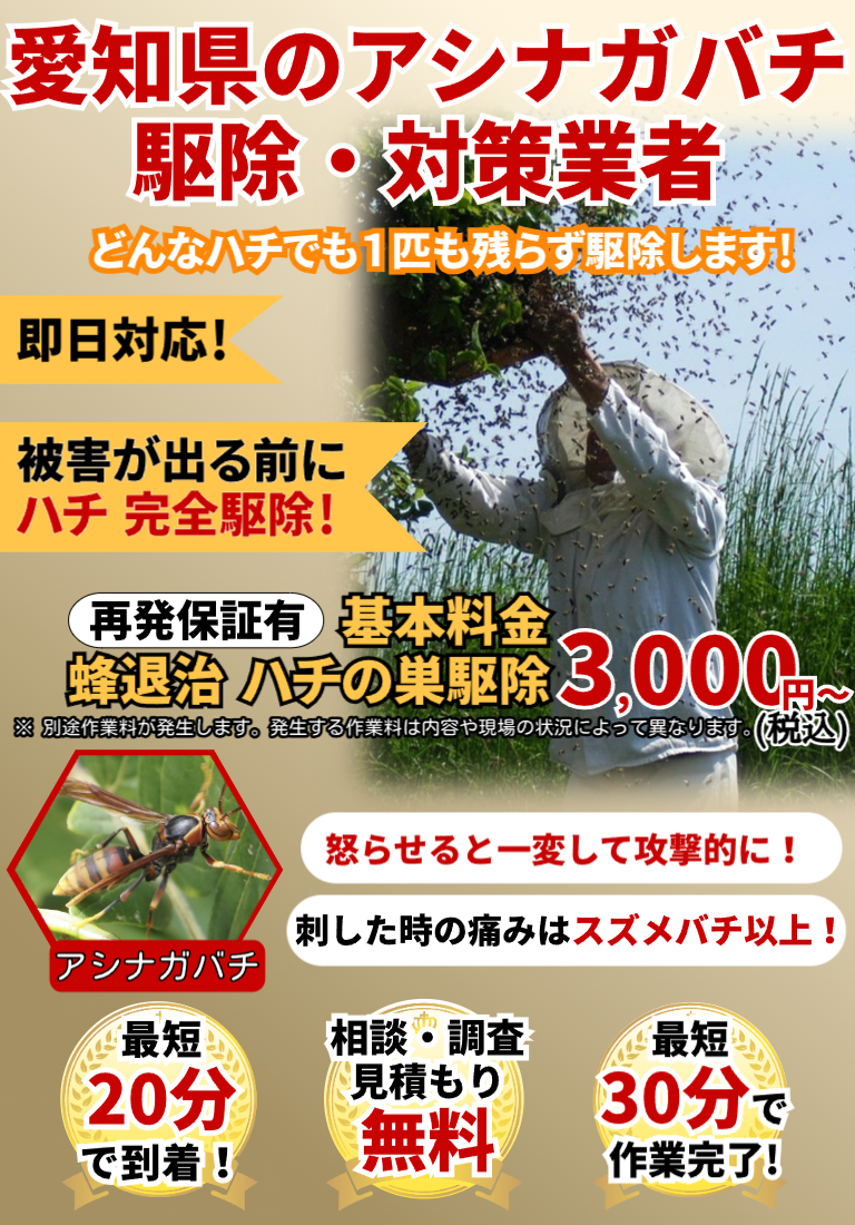 会社のイメージ画像