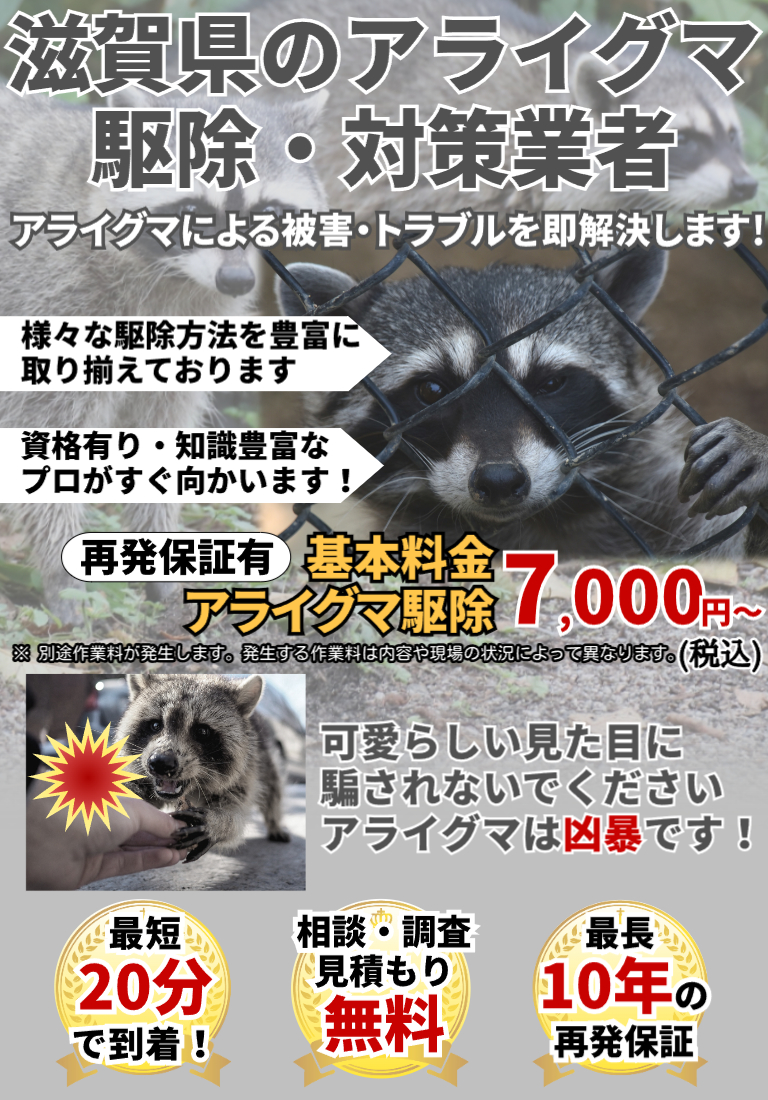 会社のイメージ画像