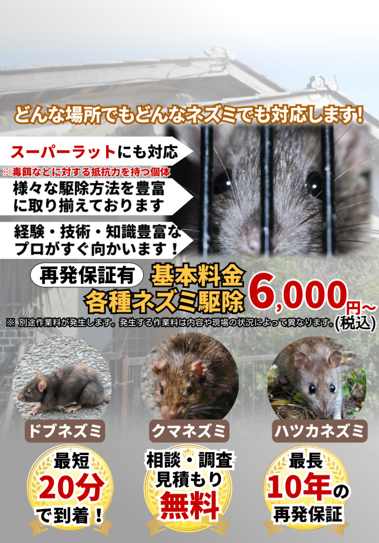 会社のイメージ画像