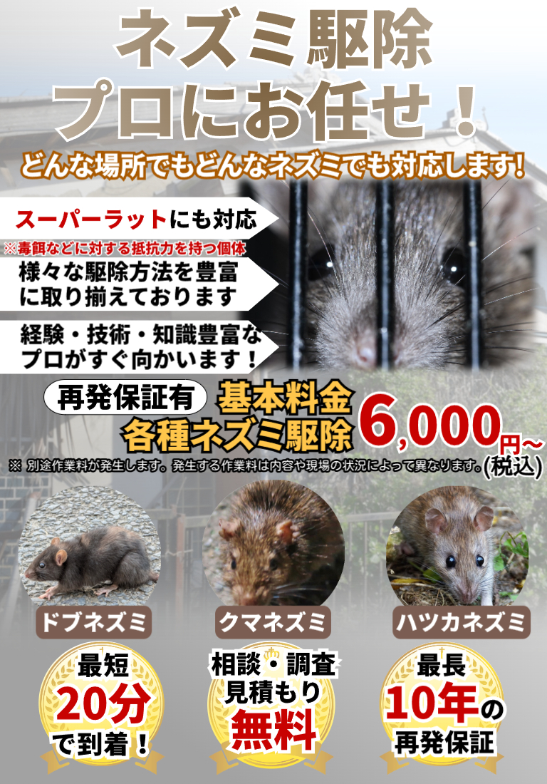 会社のイメージ画像