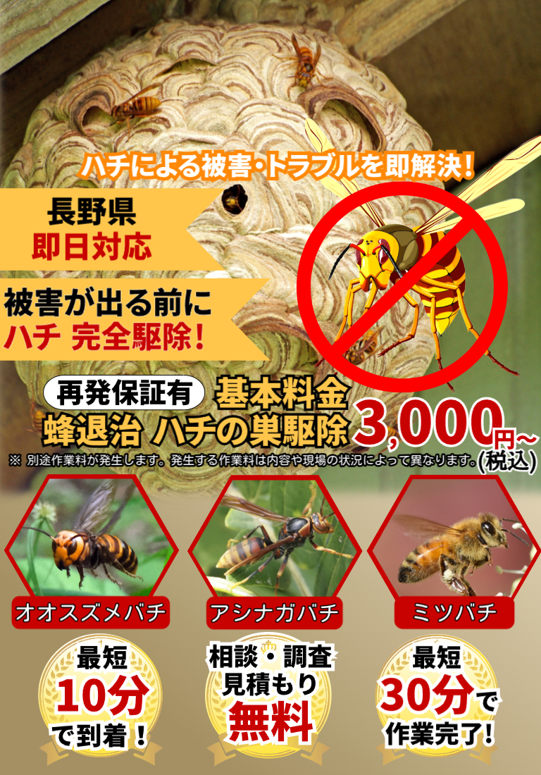 会社のイメージ画像