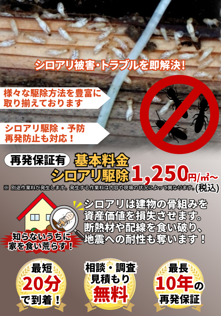 会社のイメージ画像