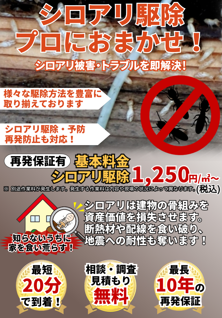 会社のイメージ画像