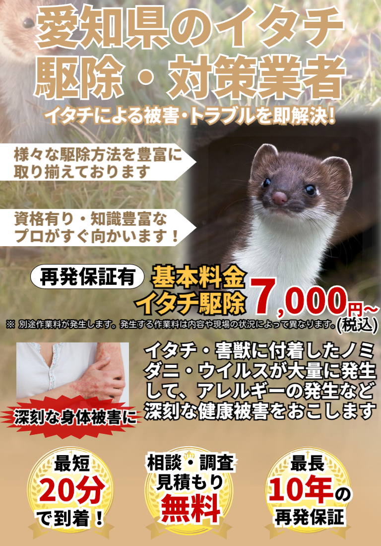 会社のイメージ画像