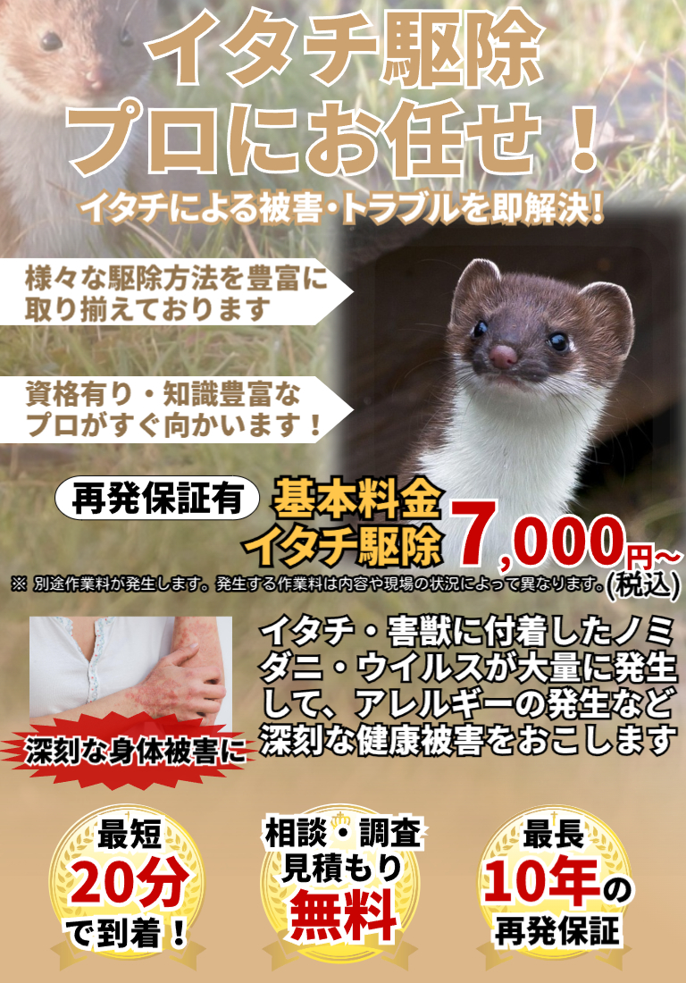 会社のイメージ画像