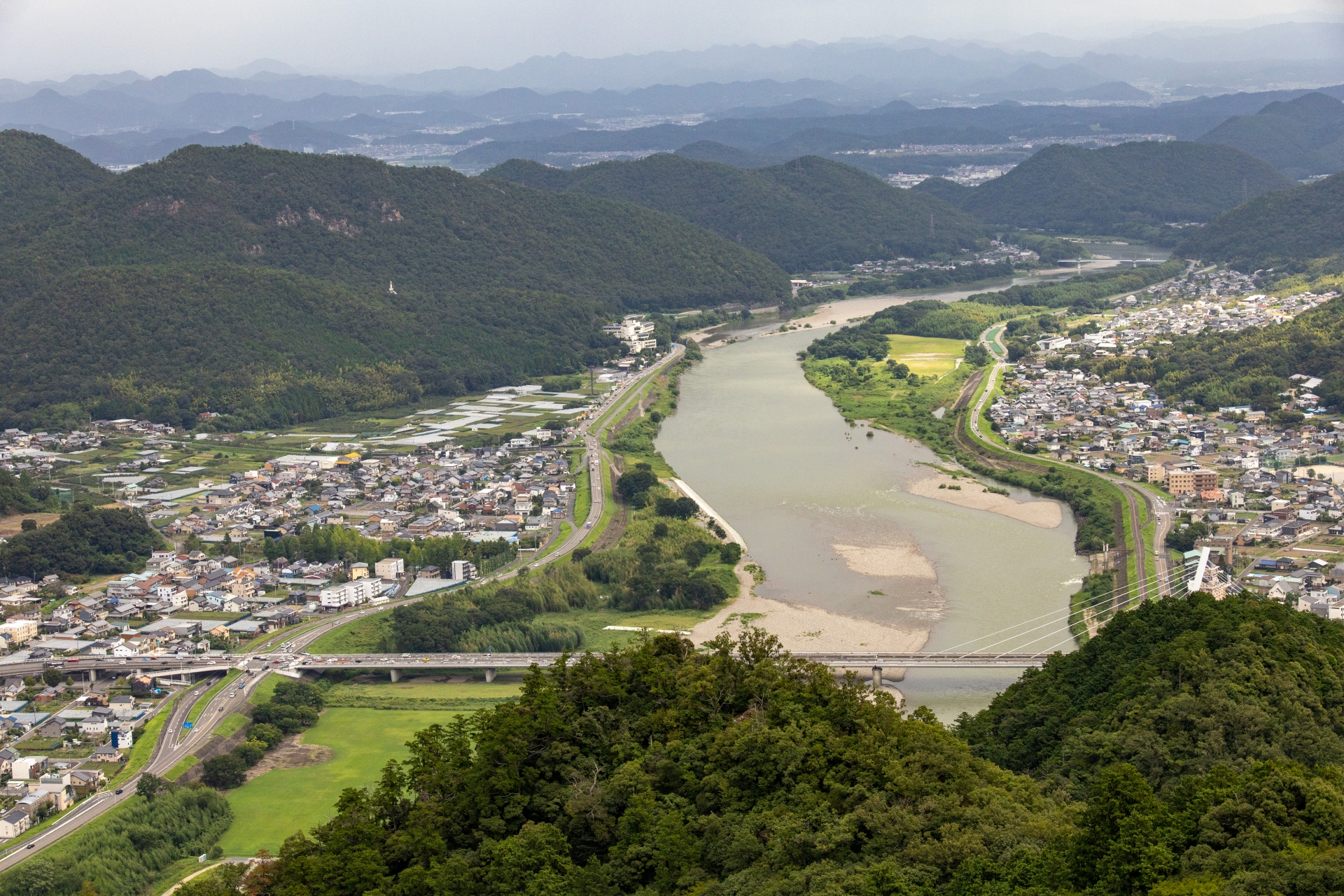 岐阜地域の駆除