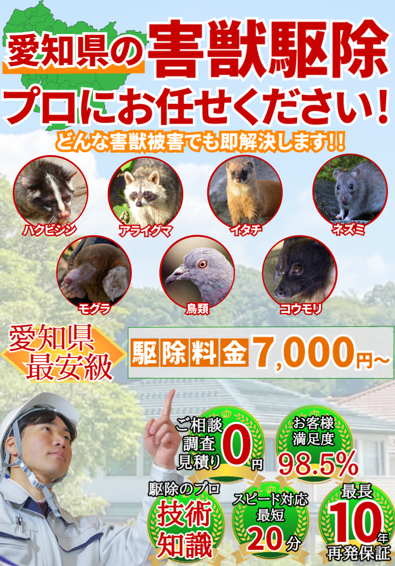 会社のイメージ画像