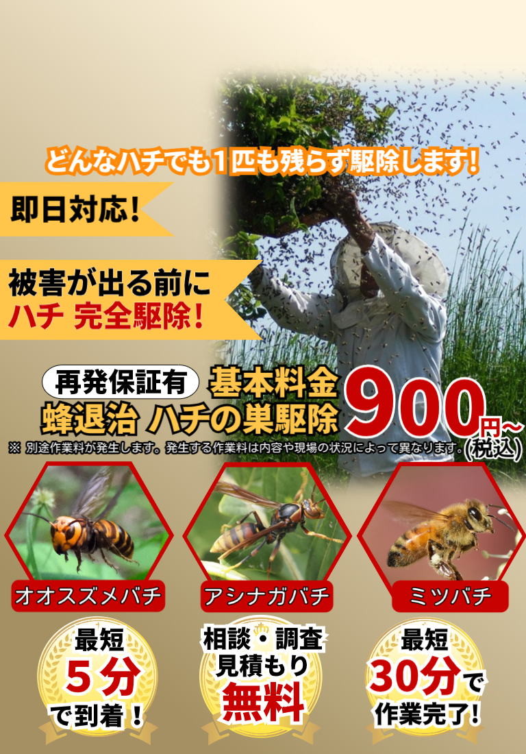 会社のイメージ画像
