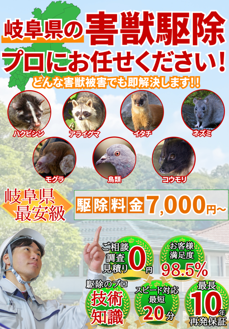 会社のイメージ画像