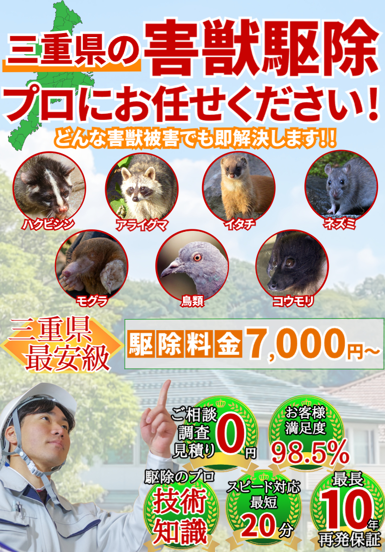 会社のイメージ画像