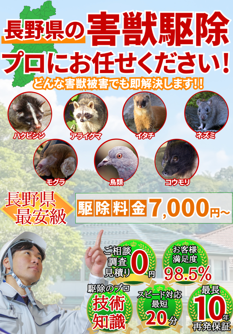 会社のイメージ画像