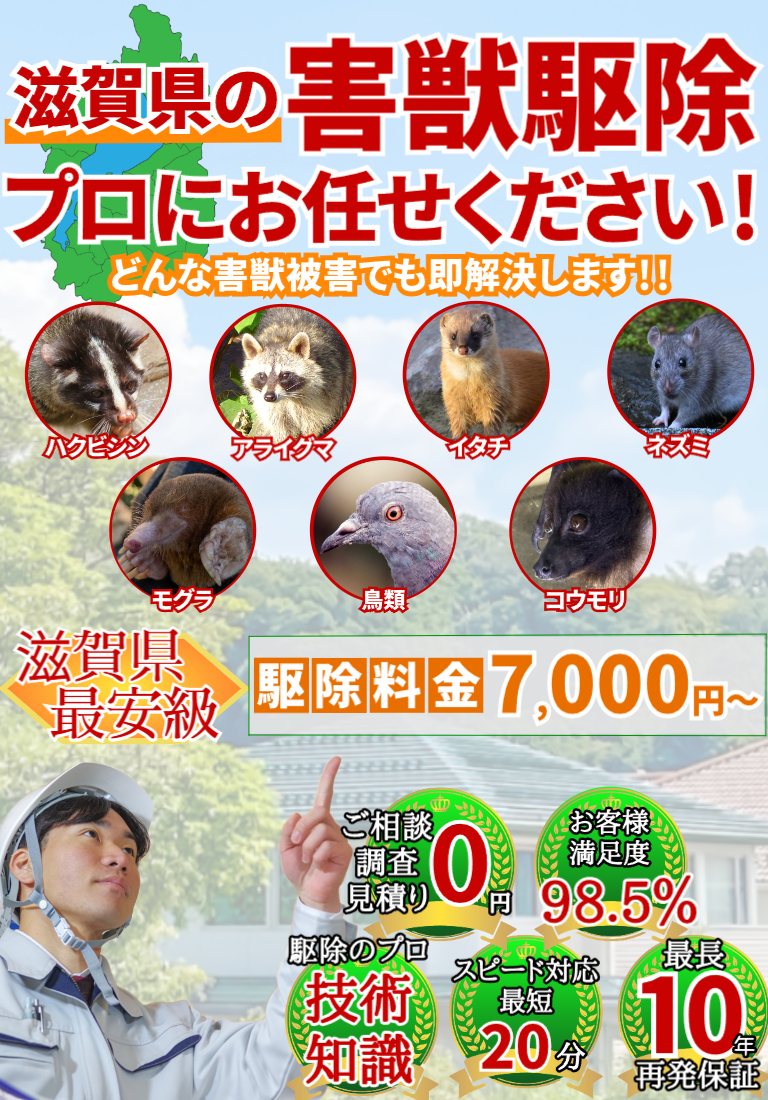 会社のイメージ画像