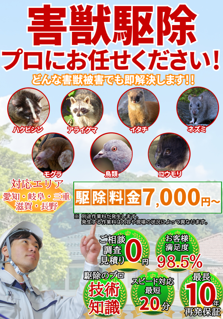 会社のイメージ画像