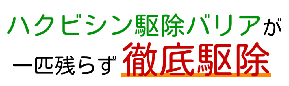 ハクビシン駆除