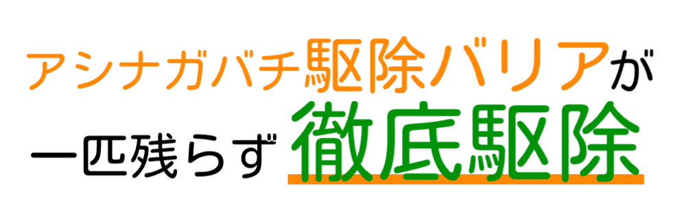 アシナガバチ駆除