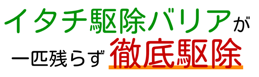 イタチ駆除