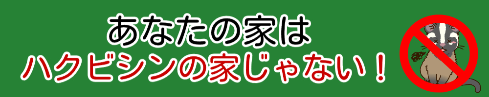 あなたの家はハクビシンの遊び場じゃない！
