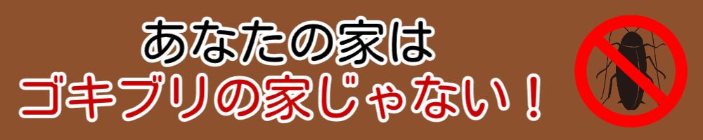 あなたの家はアライグマの遊び場じゃない！