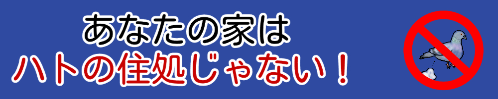 あなたの家は害鳥の住処じゃない！