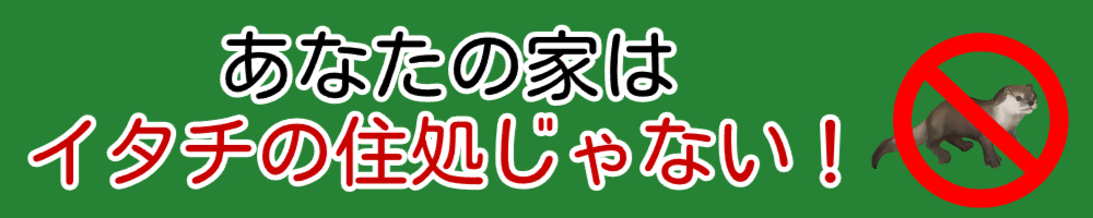 あなたの家はイタチの遊び場じゃない！